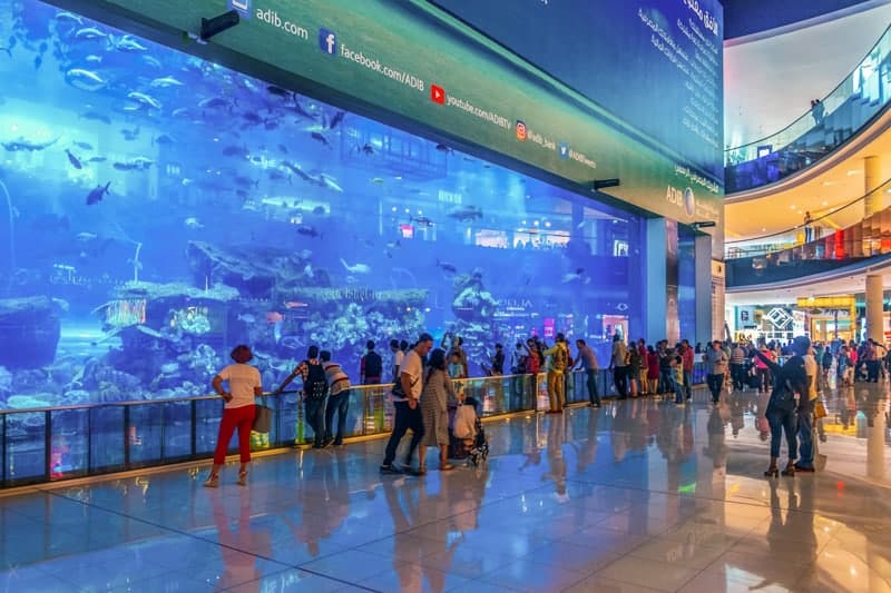 View of the Dubai Aquarium from Dubai Mall