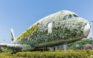 Airbus A380 display at Dubai Miracle Garden